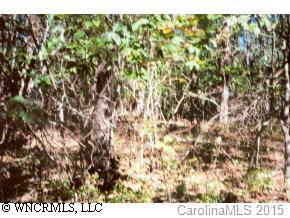 00 Galvloi Court #31-028, Brevard, NC 28712