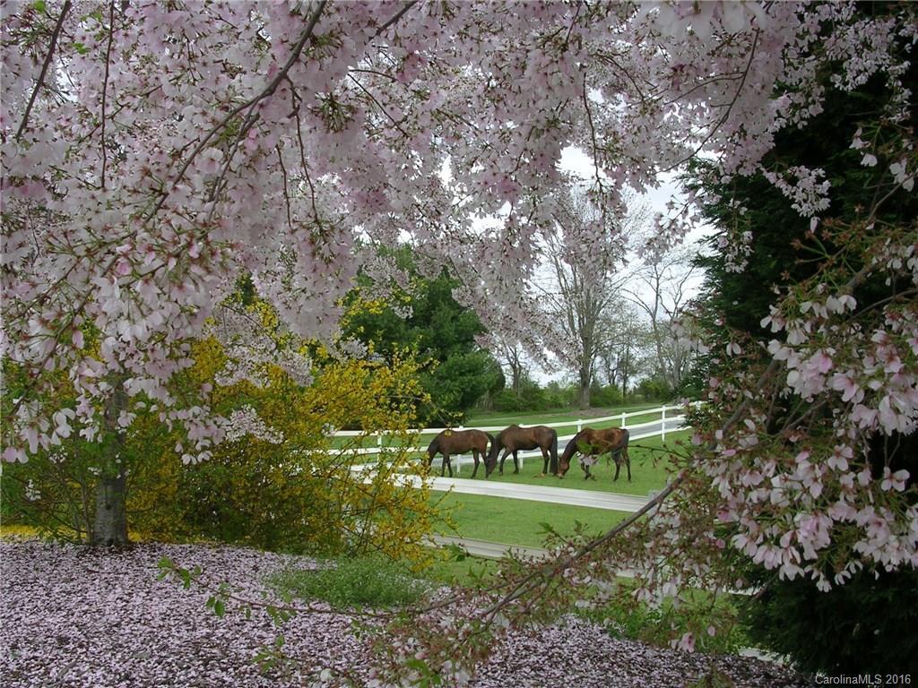 [Address Hidden by Seller], Huntersville, NC 28078