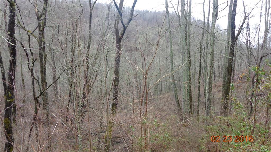 N/A N Fork Rd., Sylva, NC 28779