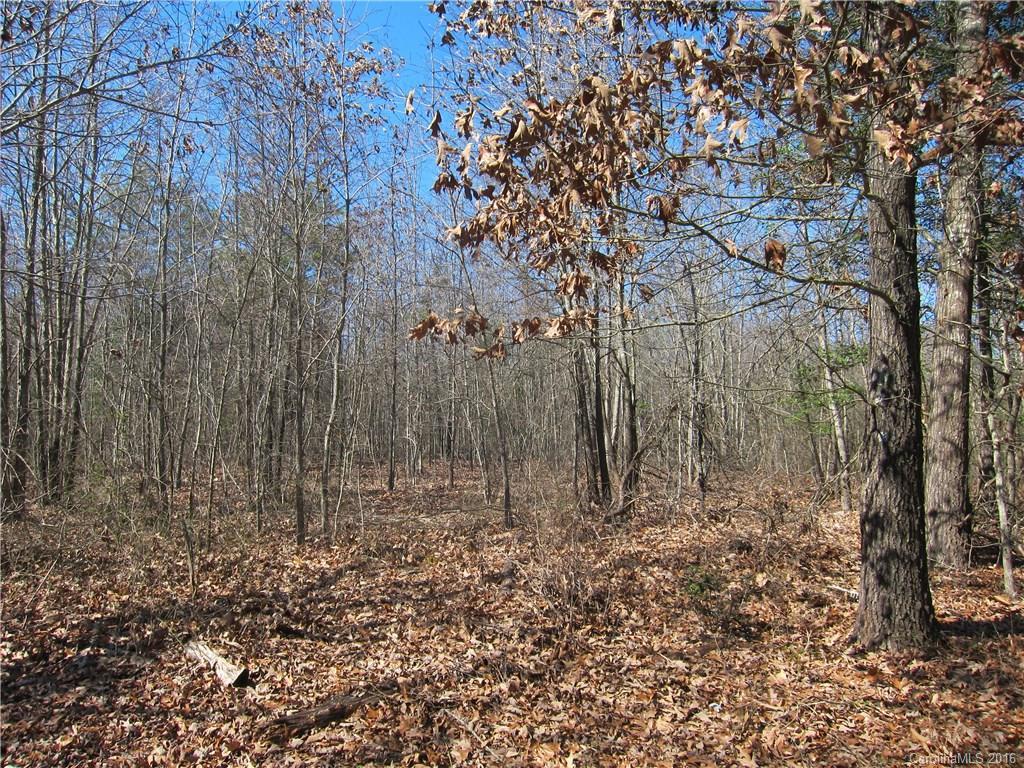 Sandranette St., Shelby, NC 28152