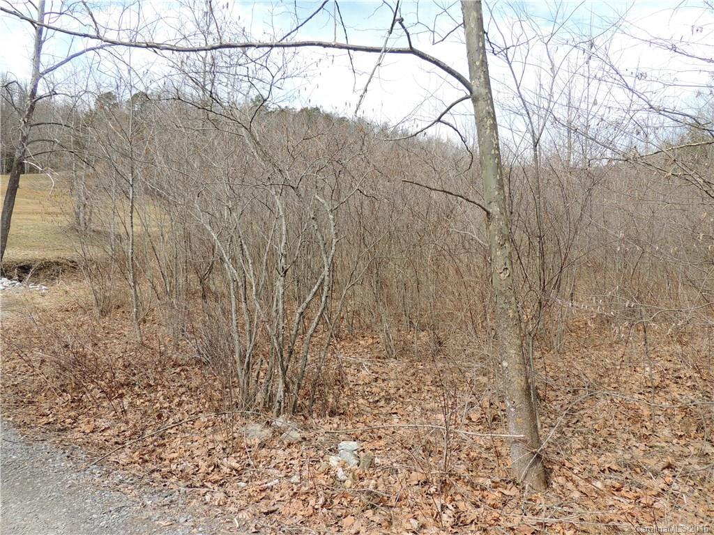 99999 Mayapple Ln., Black Mountain, NC 28711