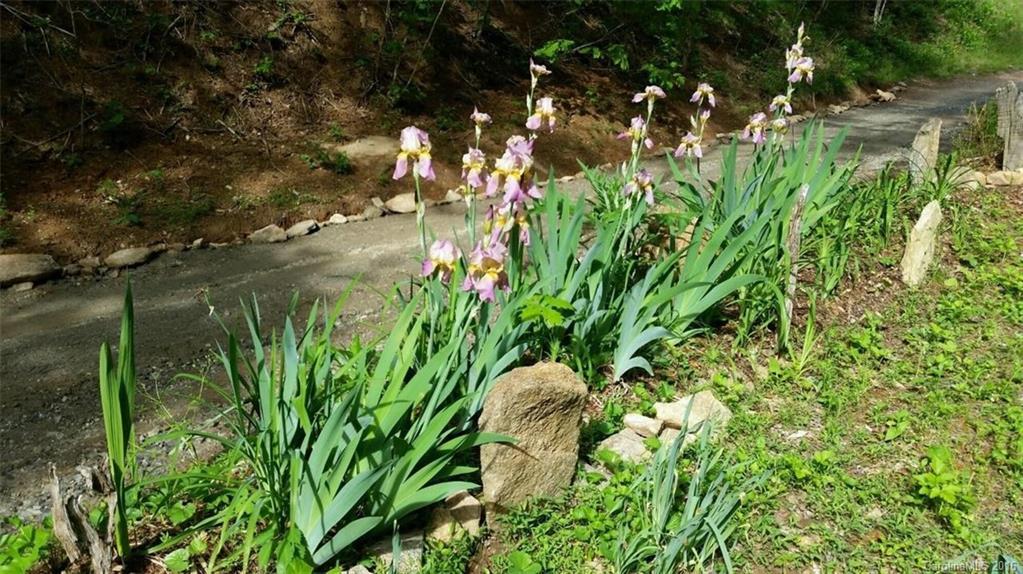 811 Starnes Cove Rd., Asheville, NC 28806