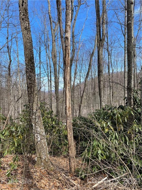Lot 3 Ogden Rd., Waynesville, NC 28786