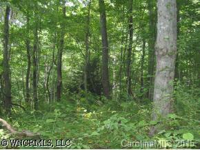 Cook Cove, Weaverville, NC 28787