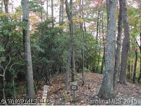 [Address Hidden by Seller], Old Fort, NC 28762