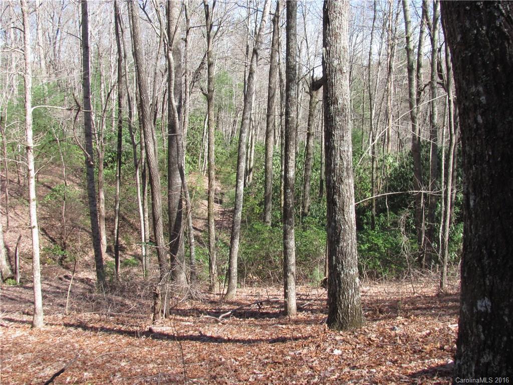 TBD Pine Mountain Dr., Dunns Rock, NC 28712