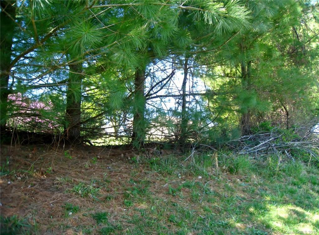 120 Mt Gilead Church Rd. #32, Mills River, NC 28759