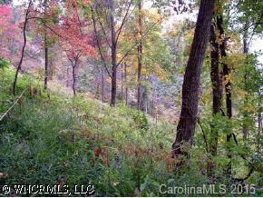 lot #36 Seven Glens Dr., Weaverville, NC 28787