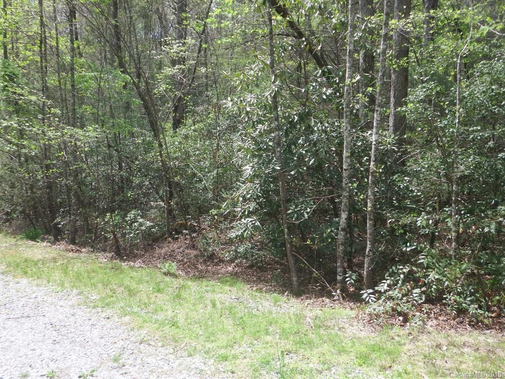 118 Oriole Ln., Lake Lure, NC 28746