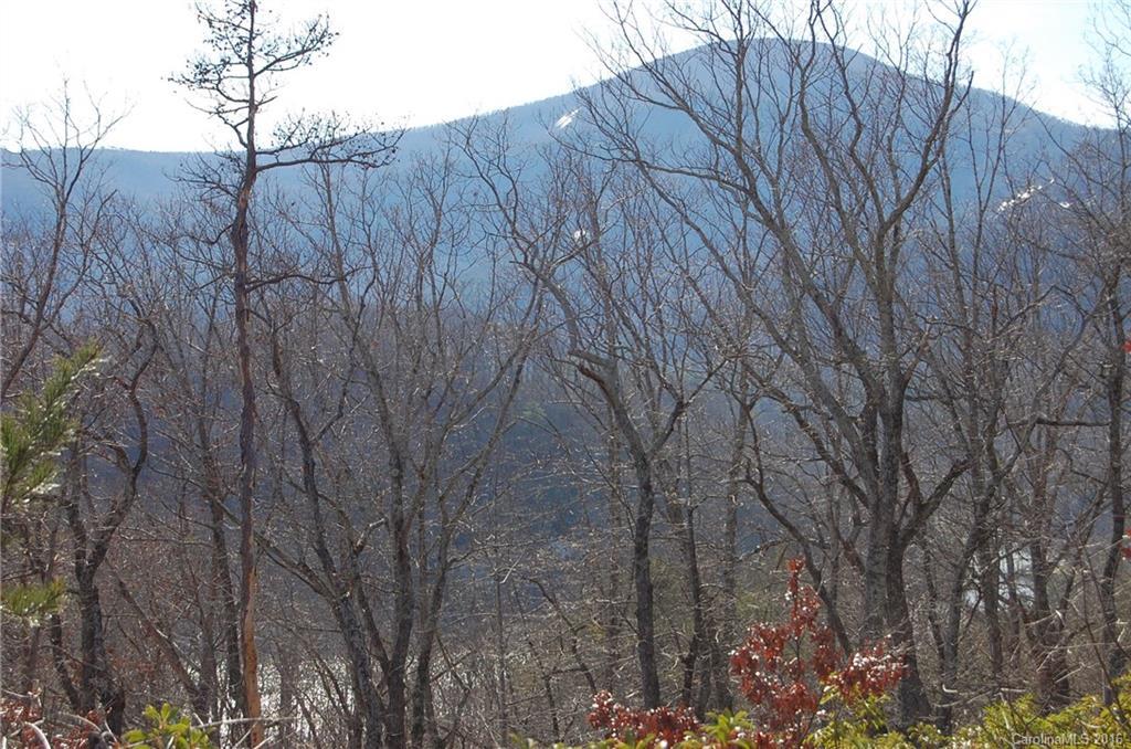 Lot C Garden Ln., Lake Lure, NC 28746