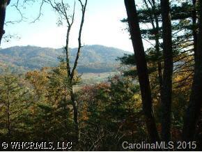 31 Dexter Way, Asheville, NC 28804