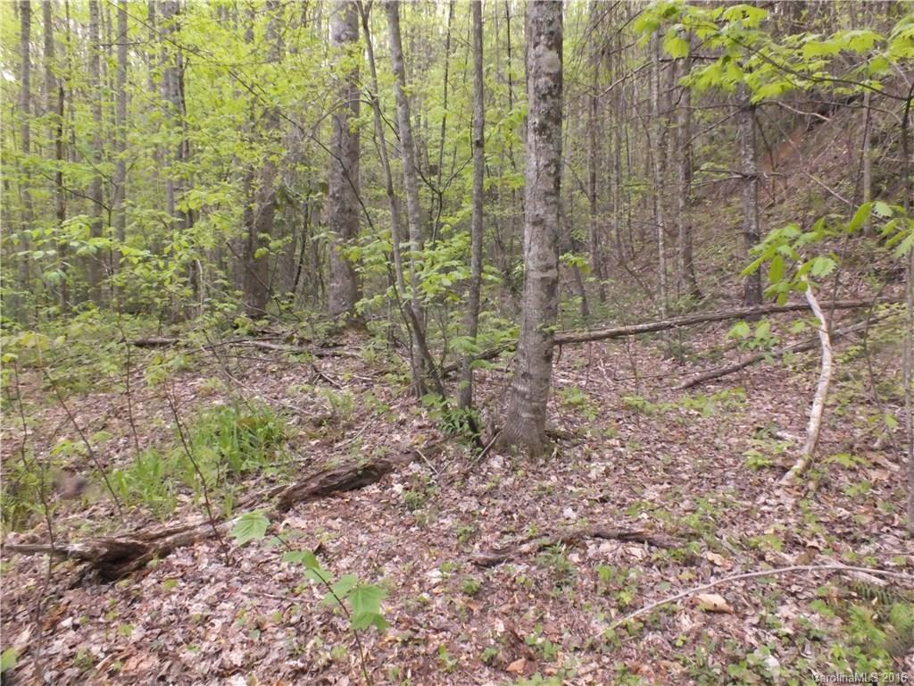 00 Rough Creek Rd., Waynesville, NC 28785