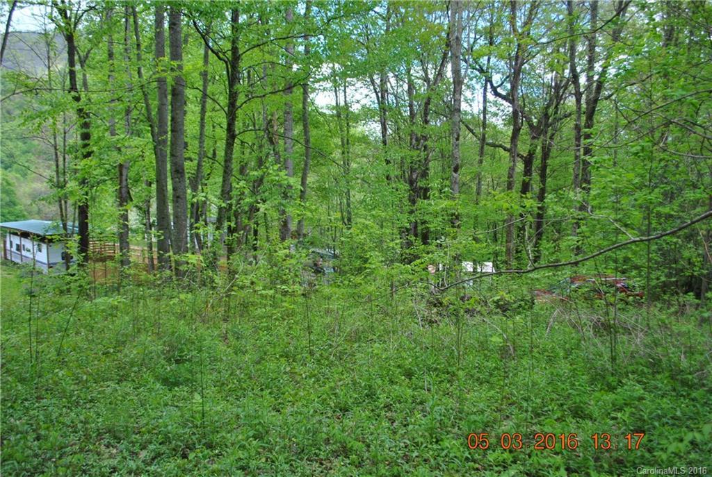 00 Carpenter Branch Rd., Maggie Valley, NC 28751