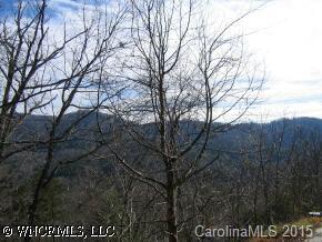 Lot 3 Black Oak Rd, Asheville, NC 28804