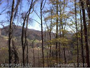 Lot 1 Sleepy Hollow Drive, Waynesville, NC 28786