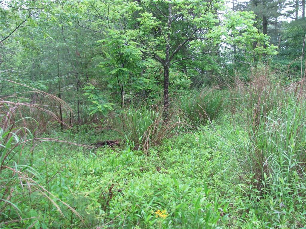 TBD Stanley Ln., Hendersonville, NC 28792