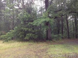 00 Riverview Rd., Lincolnton, NC 28092