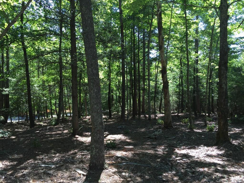 Lot 236 Quail Ridge, Lake Lure, NC 28746