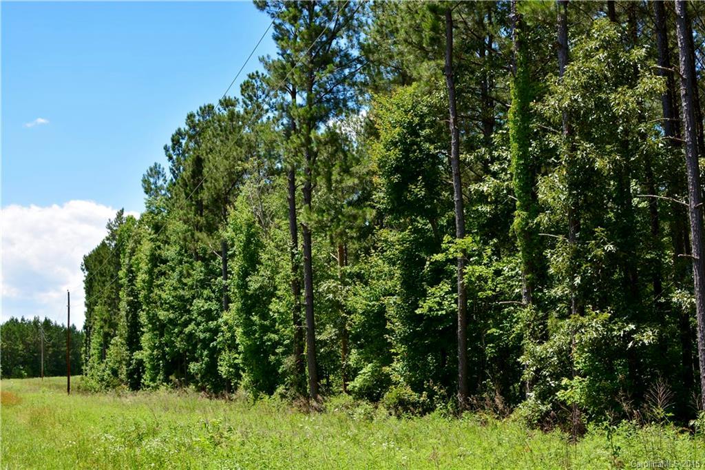 007 Vesuvius Furnace Rd., Ironton Township, NC 28080