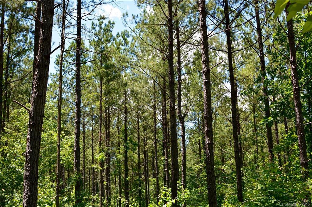 004 Vesuvius Furnace Rd., Ironton Township, NC 28080