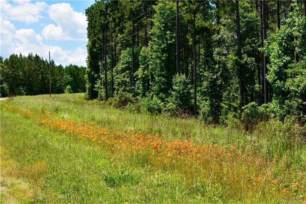 003 Vesuvius Furnace Rd., Ironton Township, NC 28080