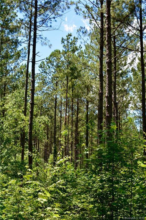 001 Vesuvius Furnace Rd., Ironton Township, NC 28080