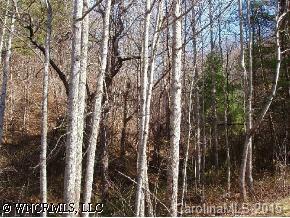 [Address Hidden by Seller], Weaverville, NC 28787