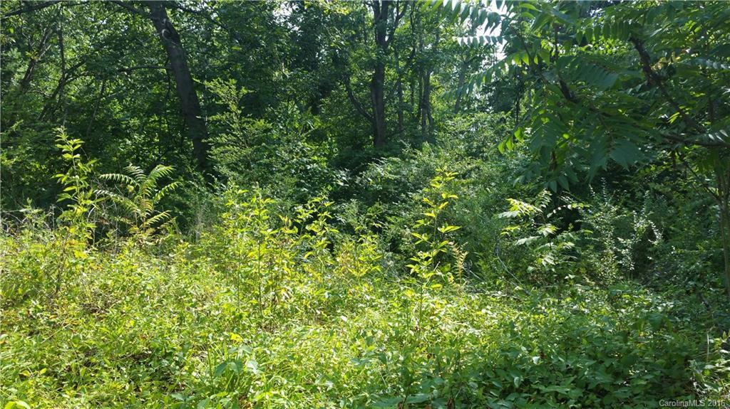 10943 Dellinger Dr., Davidson, NC 28036