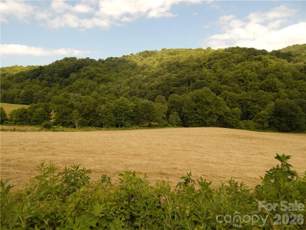 Nc 209 Hwy., Hot Springs, NC 28743