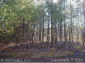 [Address Hidden by Seller], Horse Shoe, NC 28742