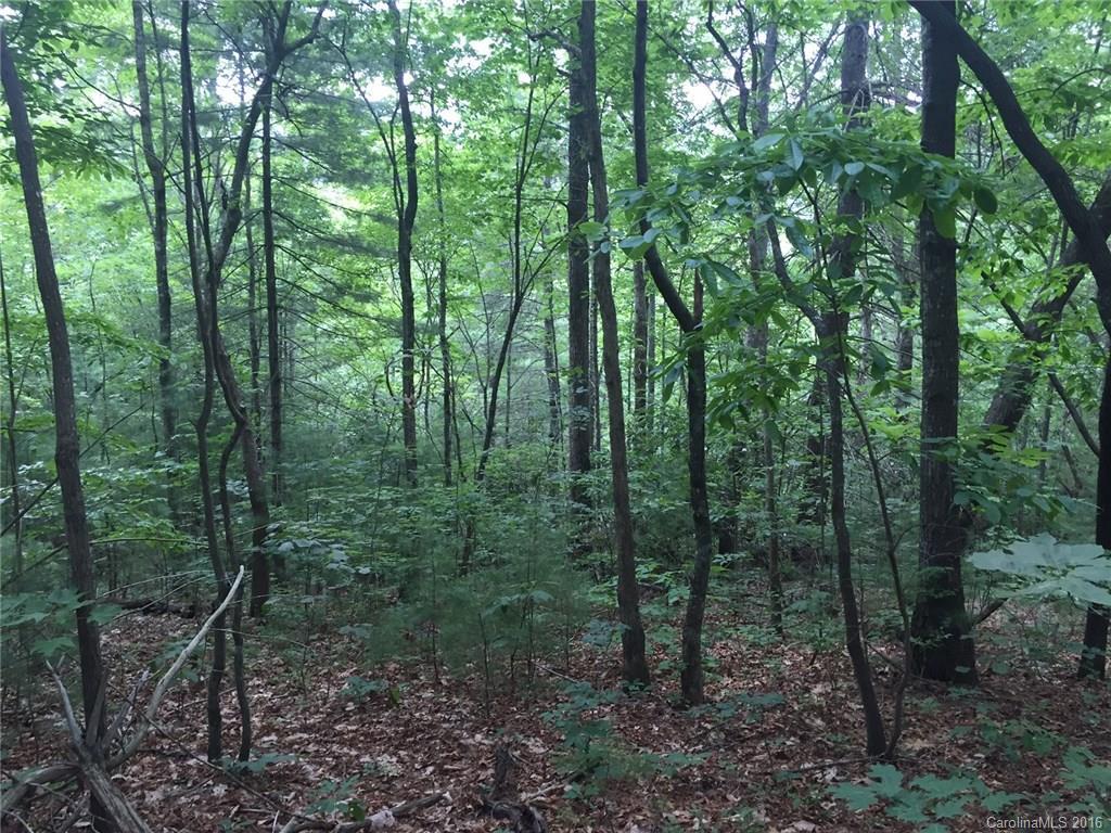 377 Rocky Ridge Rd., Hendersonville, NC 28739