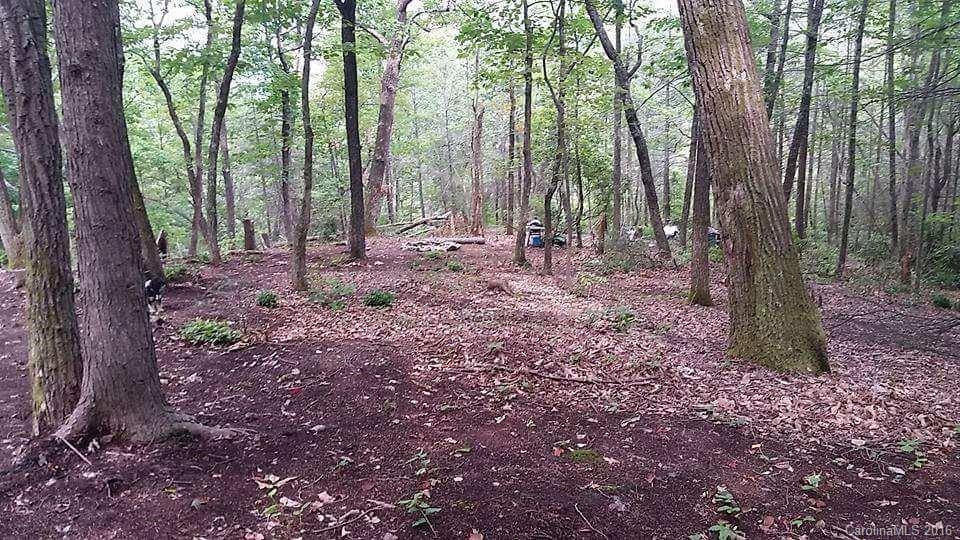 lots 16 & 17 Ridgecrest Dr., Lake Lure, NC 28746