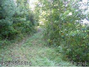 lot 24 t Twim Oaks  Estates, Waynesville, NC 28785