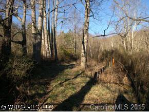 Colebrook Road, Candler, NC 28715
