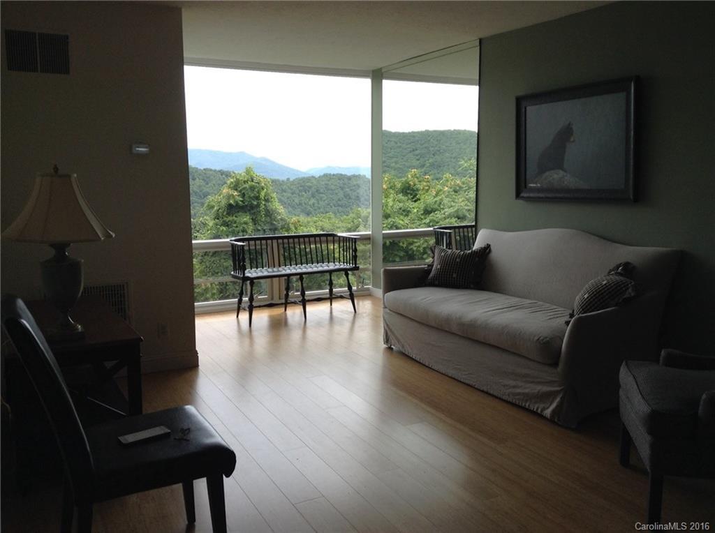 647 Town Mountain Rd. #509, Asheville, NC 28804
