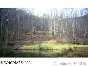 #17 Crystal Tree Dr., Waynesville, NC 28785