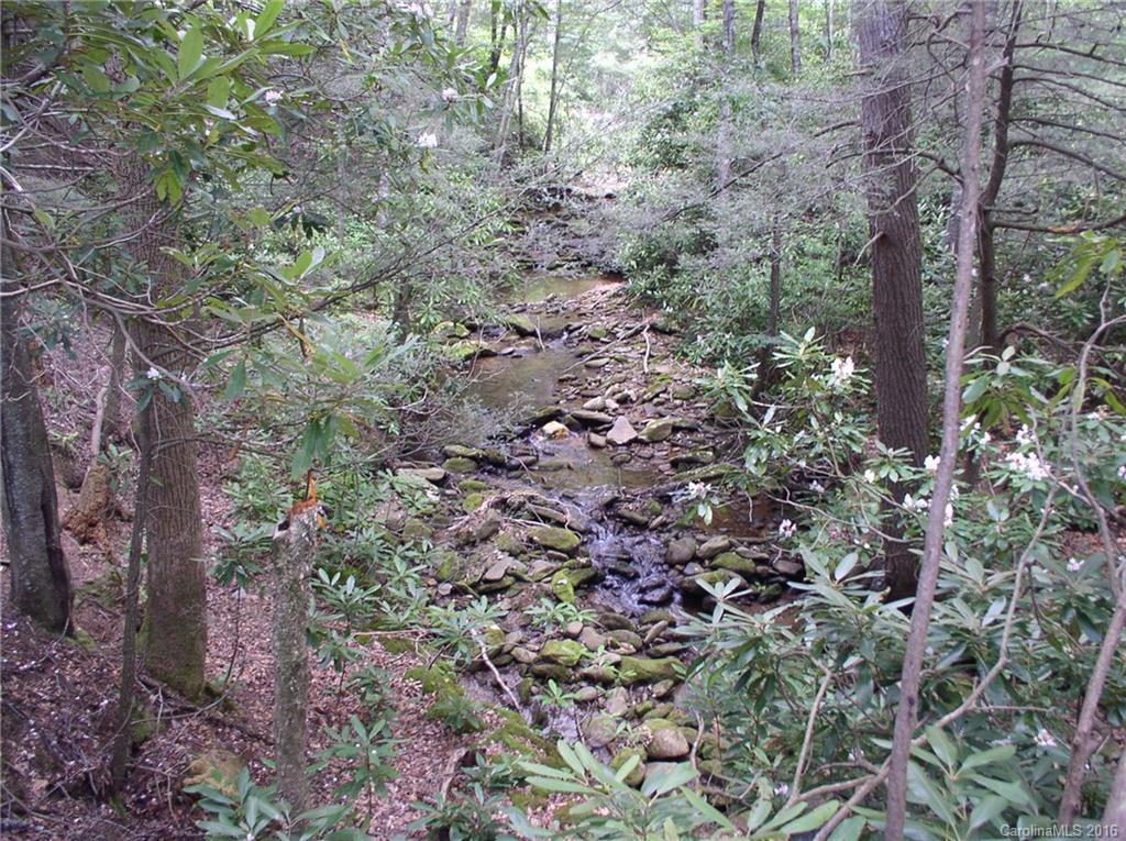 000 Locust Creek Rd. #2, Burnsville, NC 28714