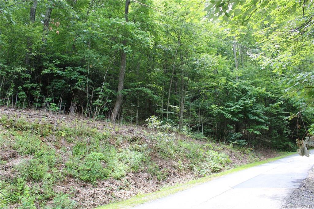 TBD Wildflower Cove Dr. #12, Swannanoa, NC 28778