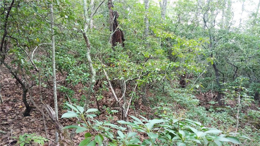 00 Griffin Dr., Edneyville, NC 28727