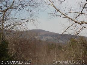 4 Asa Gray Drive, Lake Lure, NC 28746