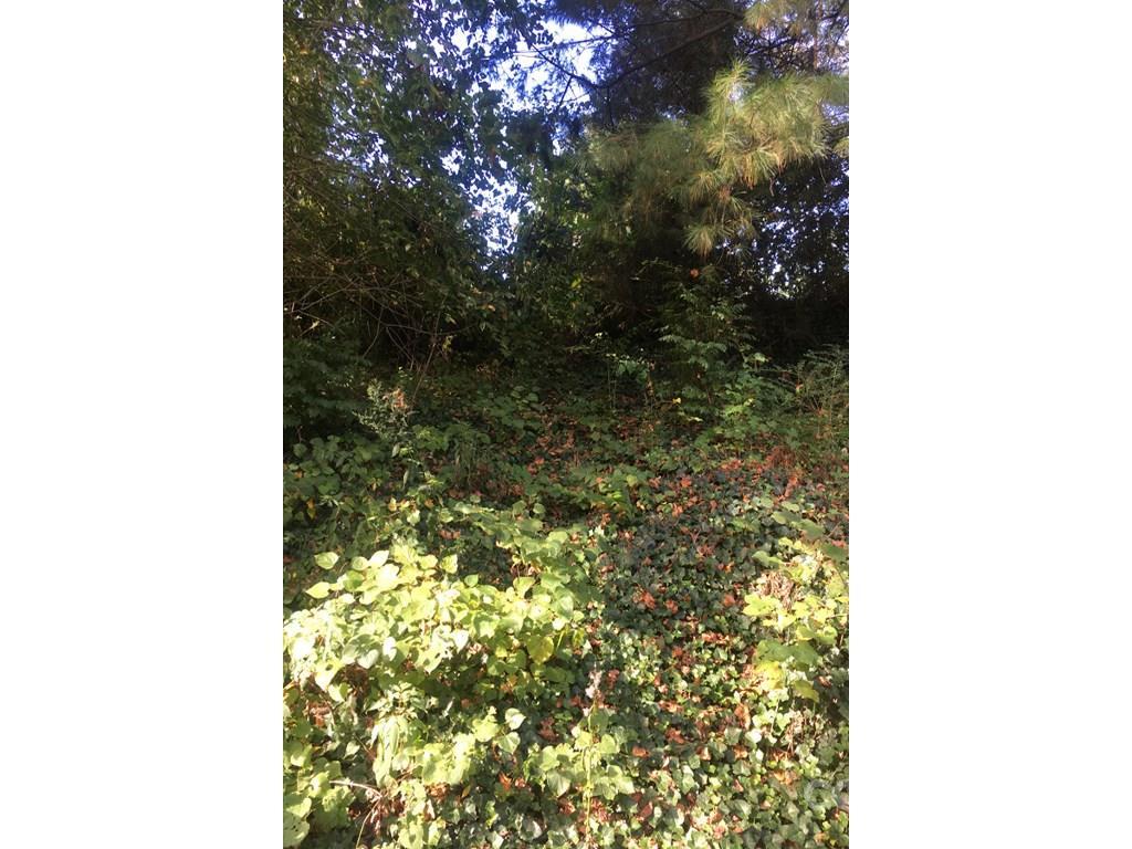 9999 Harvard Pl., Asheville, NC 28806