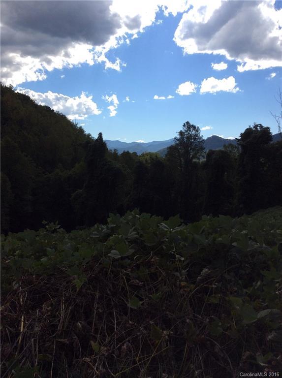 99999 Fisher Creek Rd., Sylva, NC 28779