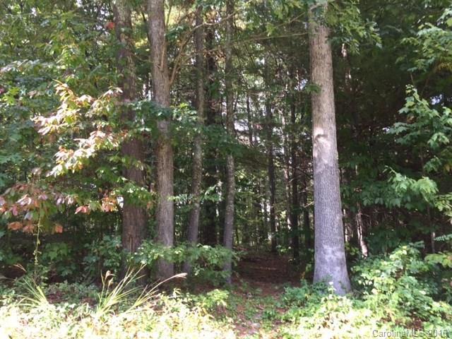 No Address Assigned Oakwood Rd., Hendersonville, NC 28791