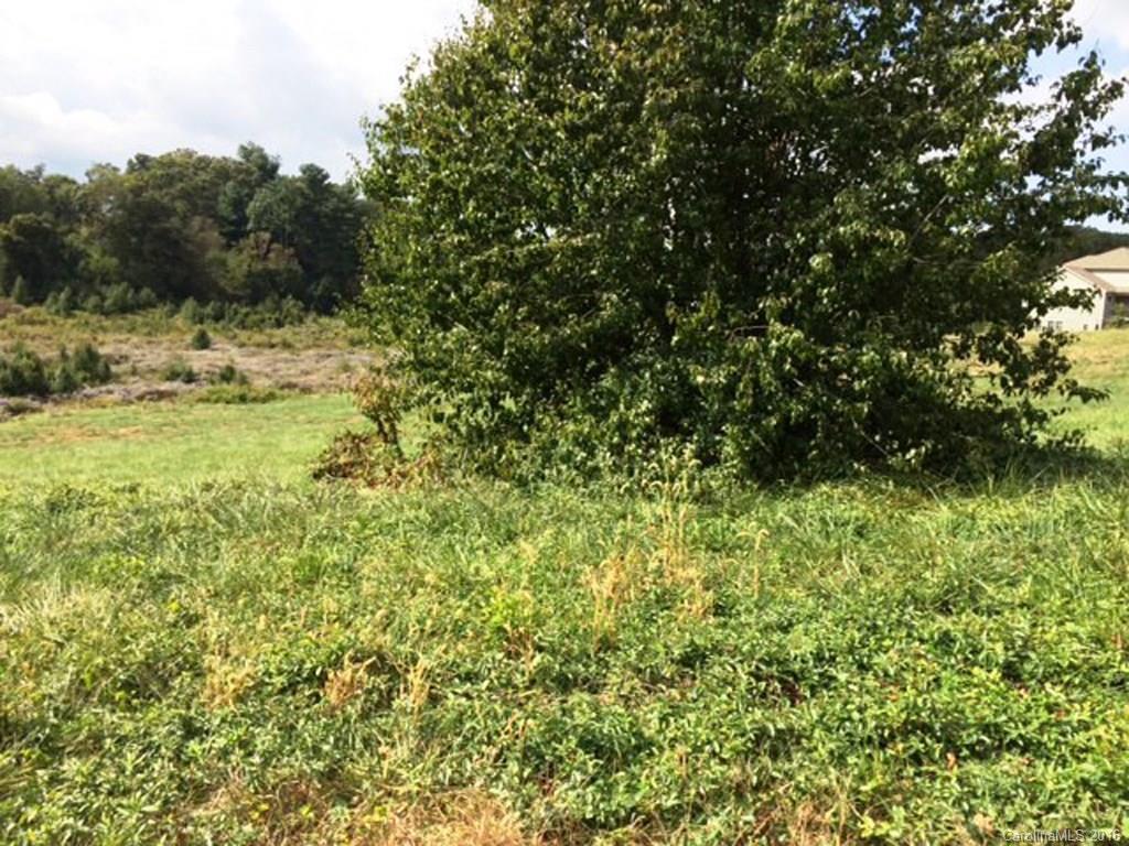 Lot 84 Birchbark Dr. #84, Mills River, NC 28759