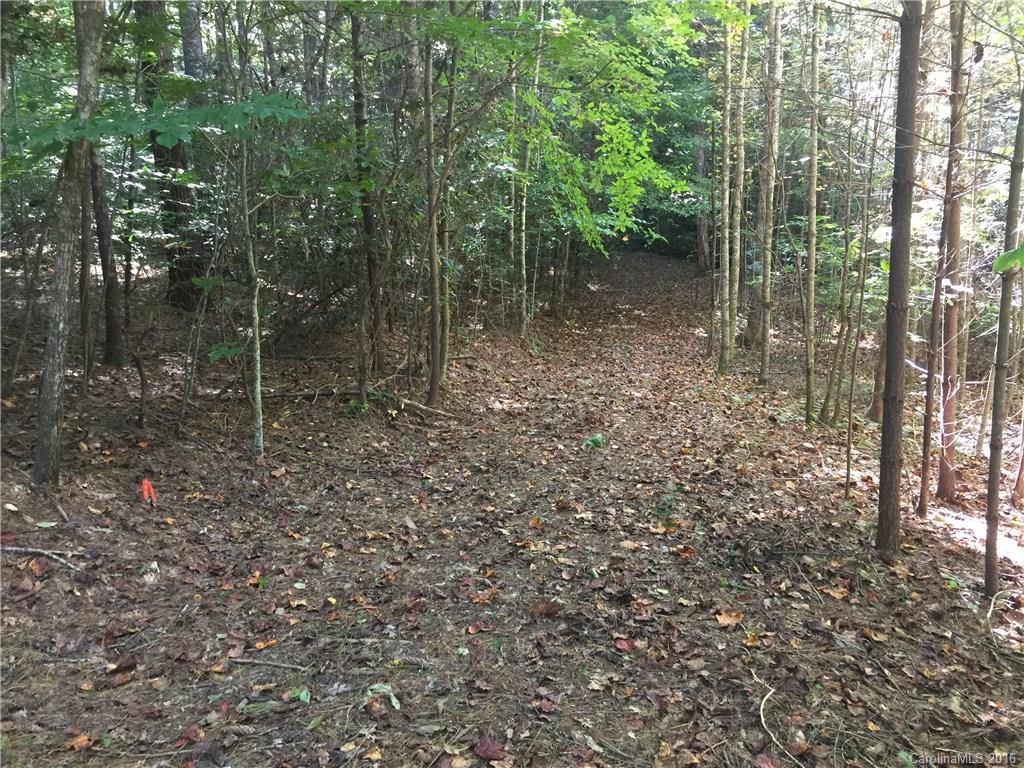 TBD Pine Tree Rd., Pisgah Forest, NC 28768