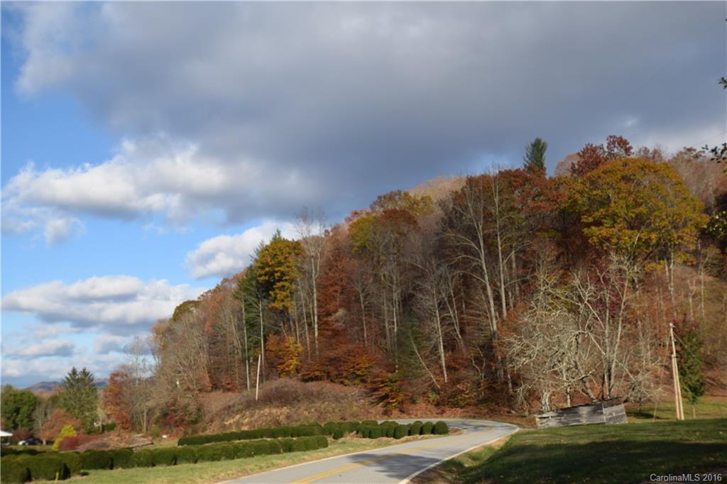 00 Burleson Gap Rd., Burnsville, NC 28714