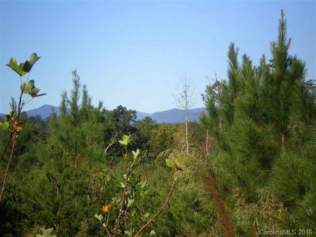 00 Brooks Lake Rd., Rutherfordton, NC 28139