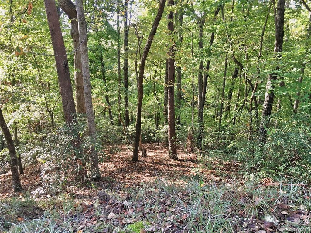 0000 Boys Camp Rd., Lake Lure, NC 28746