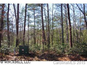 66 Wilson Ct., Lake Lure, NC 28746