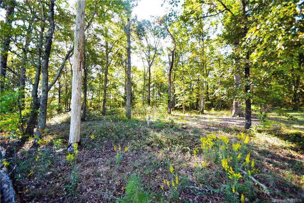 1110 Baucom Rd. #3, Monroe, NC 28110